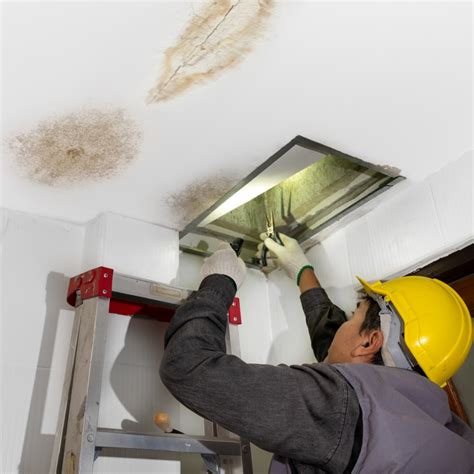 Water Leak in the Ceiling: Troubleshooting Guide